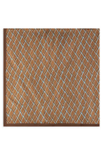 Load image into Gallery viewer, Silk scarf