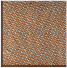 Load image into Gallery viewer, Silk scarf