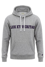 Load image into Gallery viewer, Hoodie in cotton