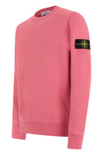 Load image into Gallery viewer, Sweatshirt with distinctive logo