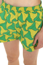 Load image into Gallery viewer, Printed swim shorts