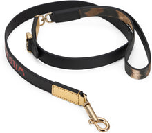Load image into Gallery viewer, Leash for dogs