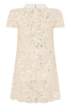 Load image into Gallery viewer, Lace mini dress