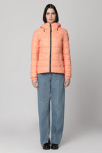 Load image into Gallery viewer, Abbott Hooded techno fabric down jacket