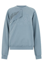 Load image into Gallery viewer, Cotton sweatshirt with logo