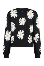 Load image into Gallery viewer, Cotton blend crew-neck sweater
