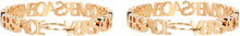 Load image into Gallery viewer, Logo hoop earrings
