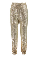 Load image into Gallery viewer, Annunziare Sequined trousers
