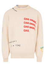 Load image into Gallery viewer, Embroidered sweater in cotton
