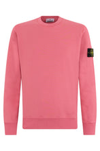 Load image into Gallery viewer, Sweatshirt with distinctive logo
