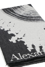 Load image into Gallery viewer, Wool and silk scarf
