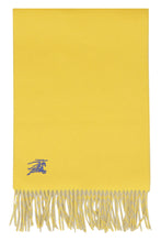 Load image into Gallery viewer, Cashmere scarf
