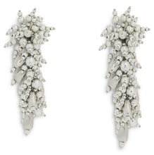 Load image into Gallery viewer, Earrings with beads
