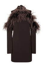 Load image into Gallery viewer, Dress with feathers
