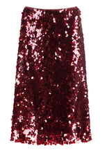 Load image into Gallery viewer, Sequin skirt
