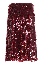 Load image into Gallery viewer, Sequin skirt
