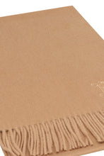 Load image into Gallery viewer, Wsdalia cashmere scarf

