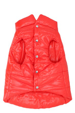 Load image into Gallery viewer, Moncler &amp; Poldo Dog Couture - Down vest
